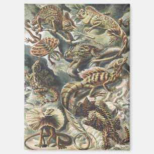 Imán Arte Antiguo de la Naturaleza de Reptiles y Lagart