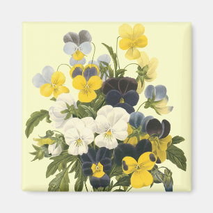 Imán Arte botánico Pansy Violets
