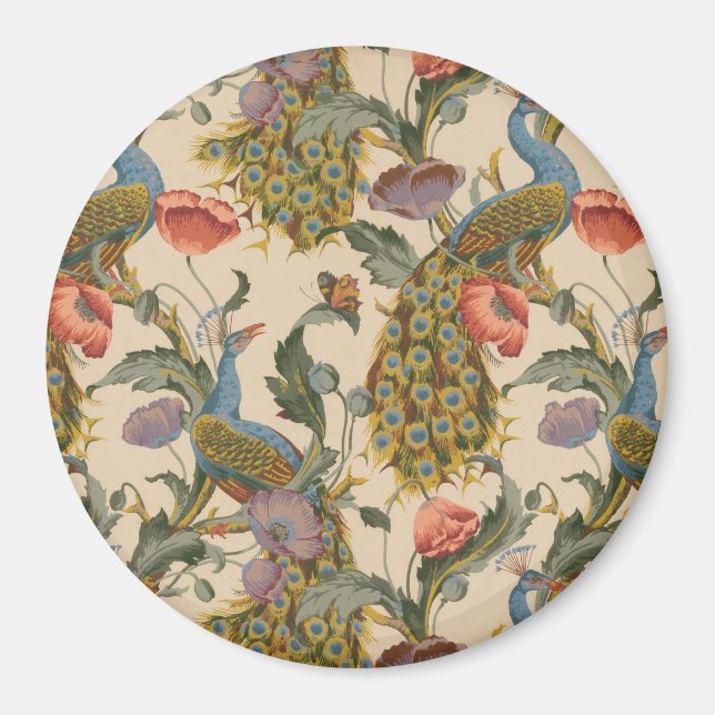 Imán Arte colorido del patrón de pavo real (Frente)