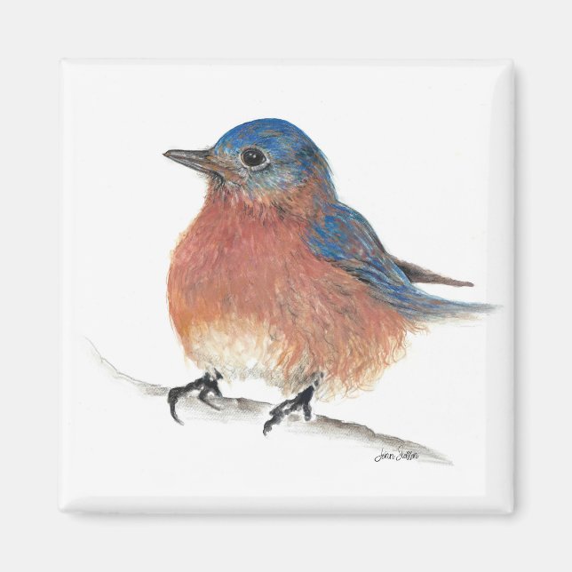Imán Arte Cute Bluebird (Frente)