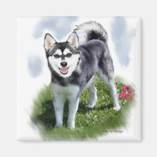Imán Arte de Alaskan Klee Kai