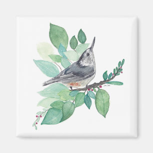 Imán Arte de ave trepador pecho blanco