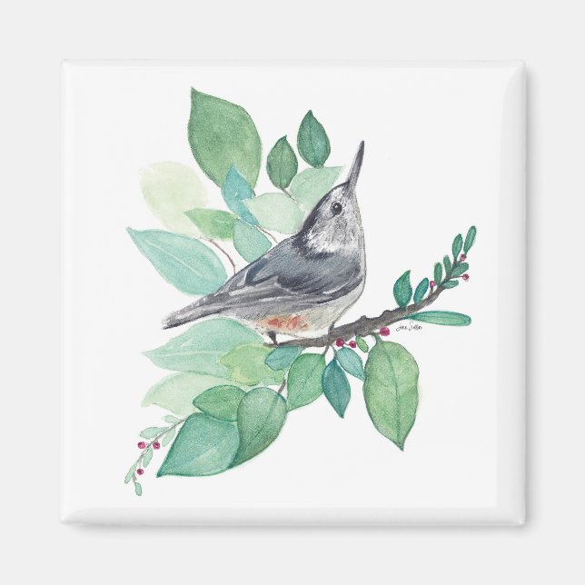 Imán Arte de ave trepador pecho blanco (Frente)