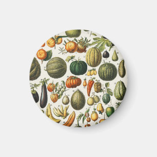 Imán Arte de cartel vintage de frutas botánicas frances