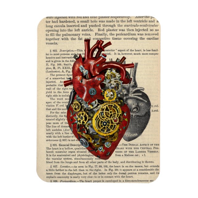 Imán Arte de ciencia ficción Steampunk Human Heart Anat (Vertical)