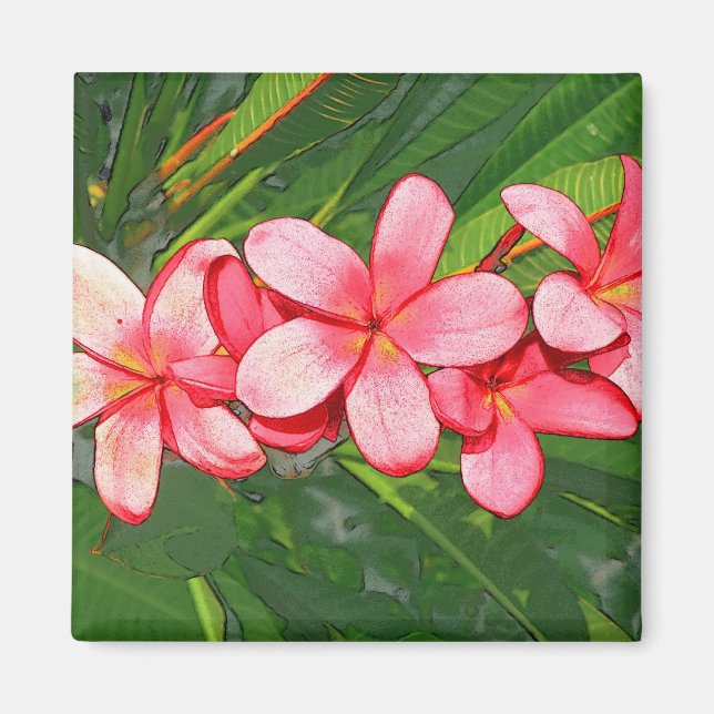 Imán Arte de Frangipani Tropical Rosa (Frente)