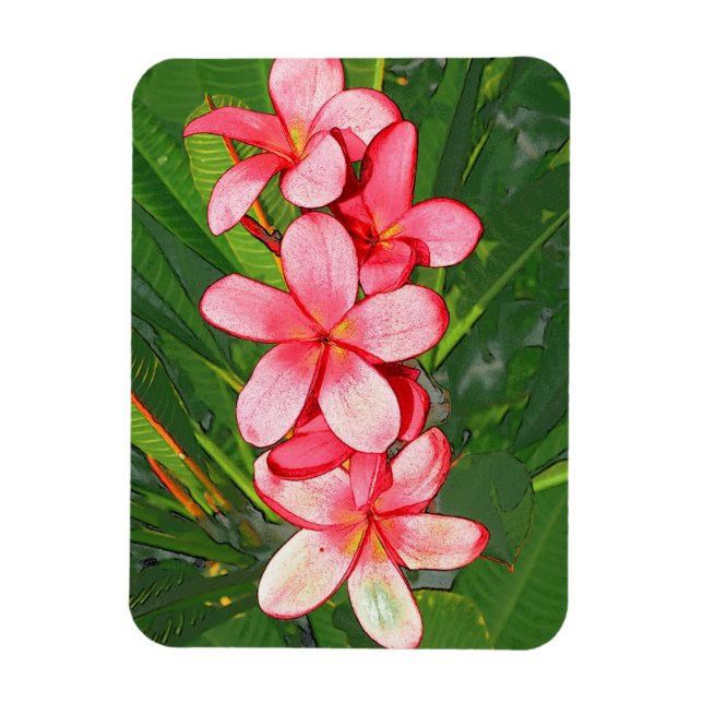 Imán Arte de Frangipani Tropical Rosa (Vertical)