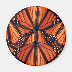Imán arte de la mariposa monarca