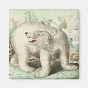 Imán Arte de oso polar vintage