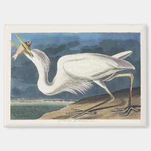 Imán Arte de Pájaro de Garza Blanca Grande Vintage Audu