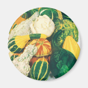 Imán Arte de Paquete de Semillas Antiguas, Calabazas Me