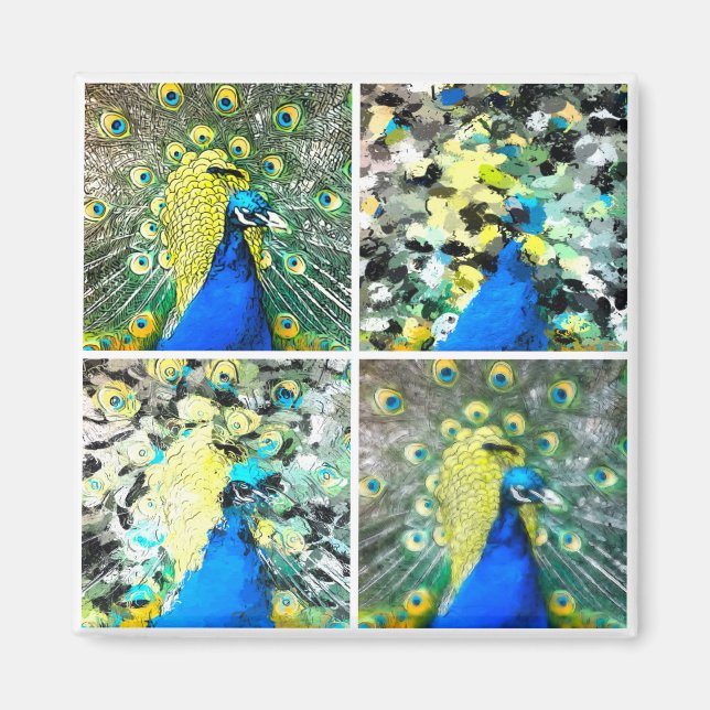 Imán Arte de Peacock (Frente)