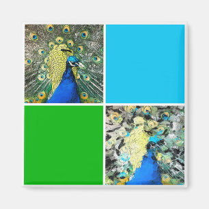 Imán Arte de Peacock