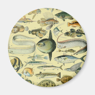 Imán Arte de pesca científica de peces de época