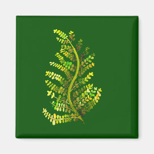 Imán Arte de plantas de hojas de helecho verde