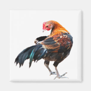 Imán Arte de pollo luminoso