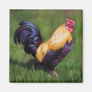 Imán Arte de pollo Stuart Bantam Rooster