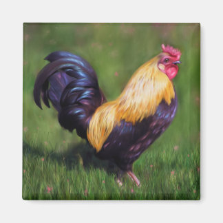 Imán Arte de pollo Stuart Bantam Rooster