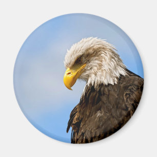 Imán Arte de retrato de vida silvestre del águila calva
