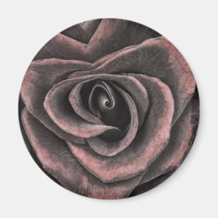 Imán Arte de Rosa morado oscuro vintage
