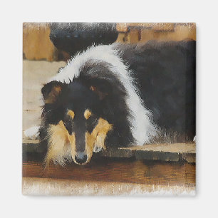 Imán Arte de Tri Color Rough Collie