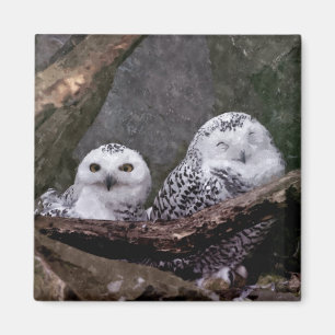 Imán Arte de vida silvestre del bosque de pareja de búh