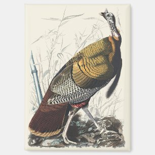 Imán Arte decorativo de Acción de Gracias pavo salvaje
