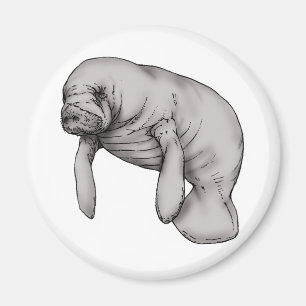 Imán arte del manatee