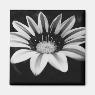 Imán Arte Floral Monocromo