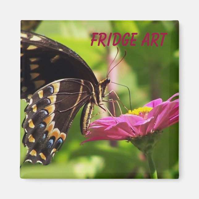 Imán Arte Frigorífico (Frente)