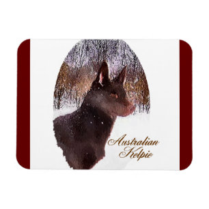 Imán Arte Kelpe australiano