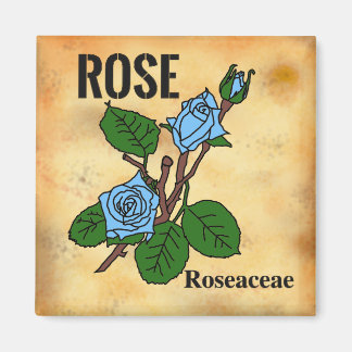 Imán Arte lineal de rosa azul estilo papel envejecido