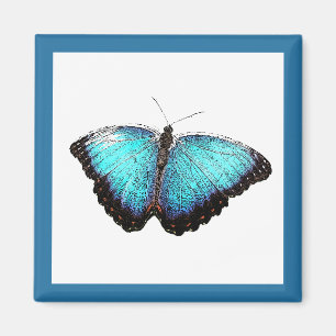 Imán Arte natural de mariposa azul, Ilustracion de foto