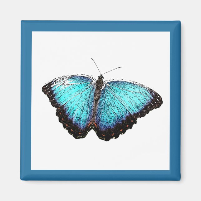 Imán Arte natural de mariposa azul, Ilustracion de foto (Frente)