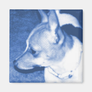 Imán Arte pop azul Chihuahua Magnet