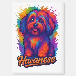 Imán Arte Pop Havanés Vibrante – Arte Callejero Colorid
