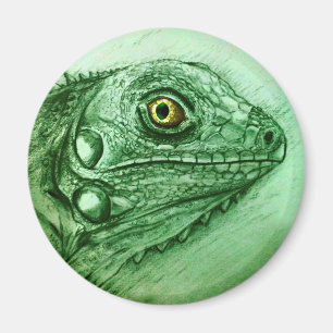 Imán Arte repticio verde realista Redondo Magnet - Igua