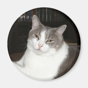 Imán Artemis