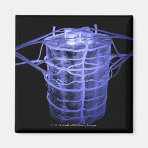 Imán Arterias que rodean la parte de la columna espinal