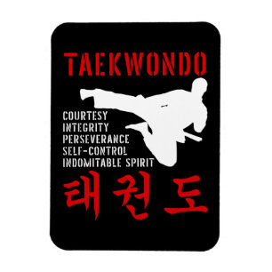 Imán Artes marciales de Taekwondo