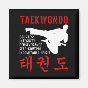 Imán Artes marciales de Taekwondo