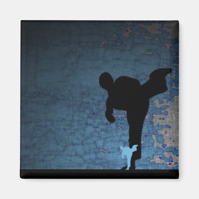 Imán artes marciales : sombra