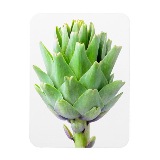 Imán Artichoke (Vertical)