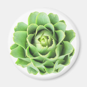 Imán Artichoke