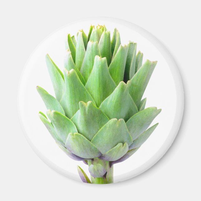 Imán Artichoke (Frente)