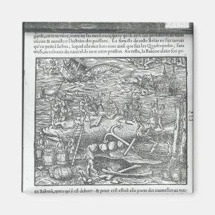 Imán Articulación de una ballena