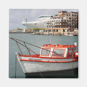 Imán Aruba, Oranjestad, del Caribe