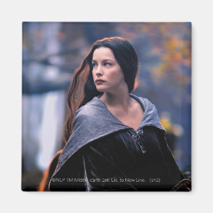 Imán ARWEN™ que mira detrás