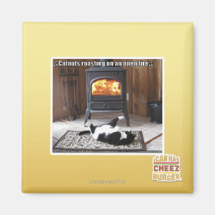 Imán Asados de castañas