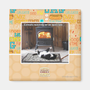 Imán Asados de castañas